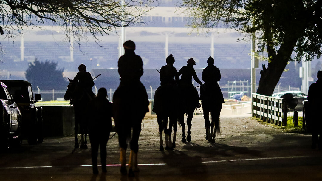 Churchill Downs training-5.jpg